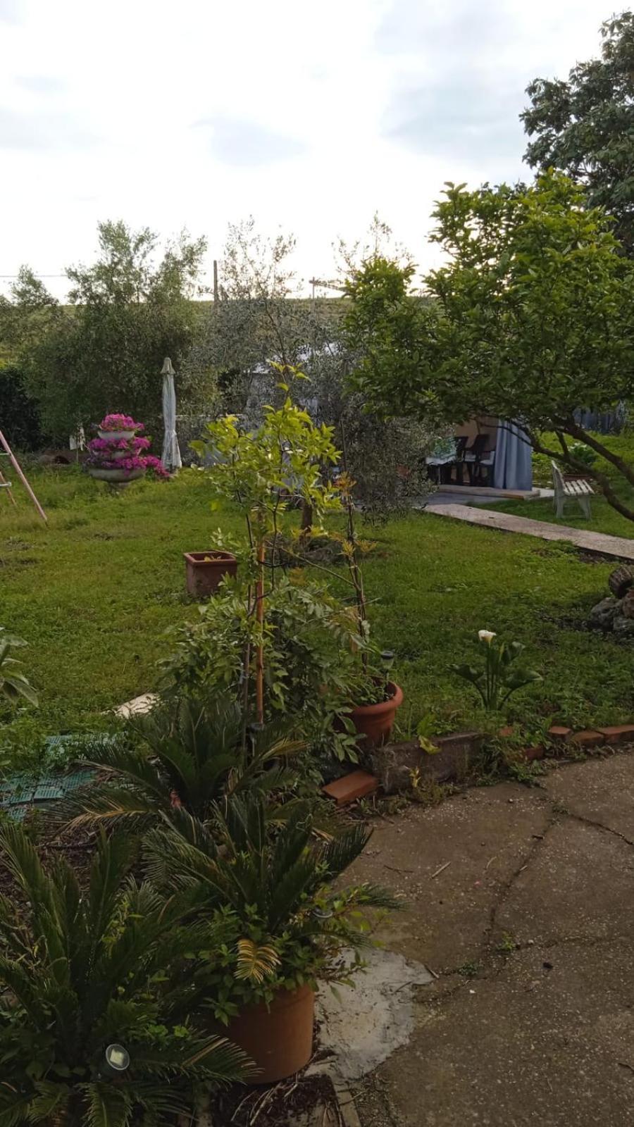 Casina Maria Appartement Rome Buitenkant foto